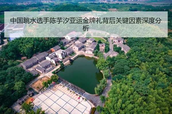 中国跳水选手陈芋汐亚运金牌礼背后关键因素深度分析